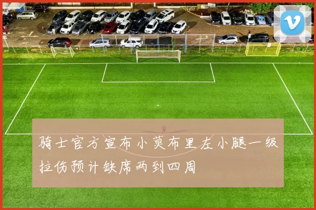 骑士官方宣布小莫布里左小腿一级拉伤预计缺席两到四周