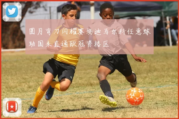 圆月弯刀闪耀赛场迪马尔科任意球助国米直通欧冠资格区
