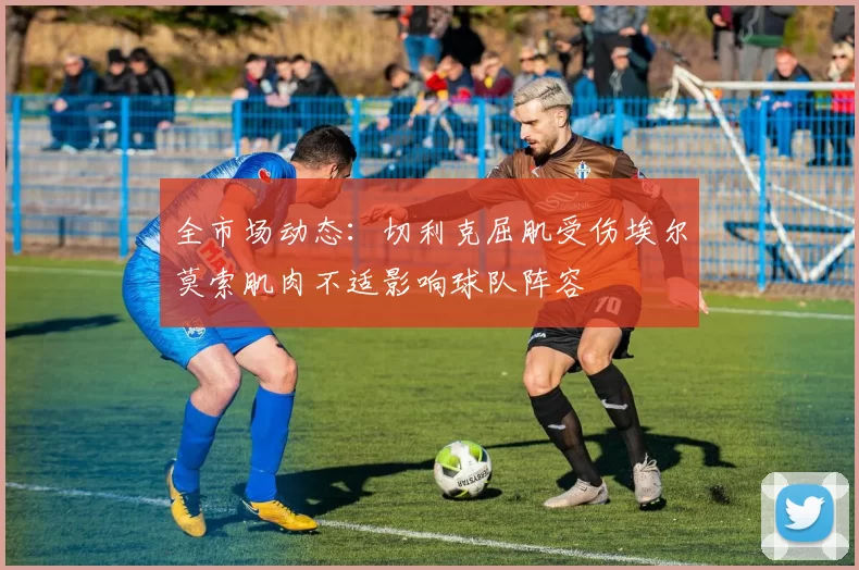 全市场动态：切利克屈肌受伤埃尔莫索肌肉不适影响球队阵容