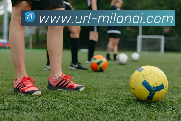 米兰体育APP 封面图